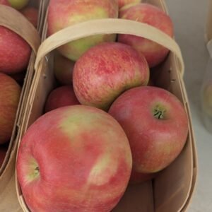 Malus Pumila 'Honeycrisp'