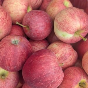 Malus Pumila 'Gala'