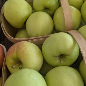 Malus Pumila 'Gingergold'