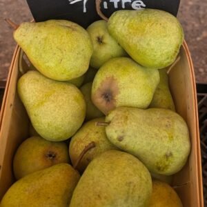 Pyrus Communis 'Bartlett'